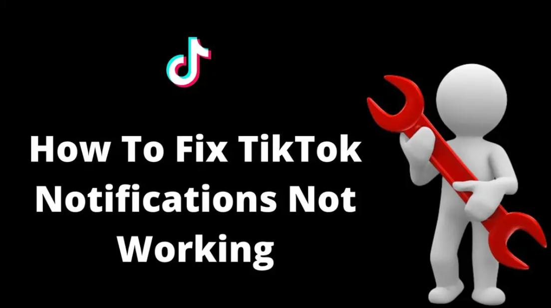 How to Fix TikTok Notifications Not Working