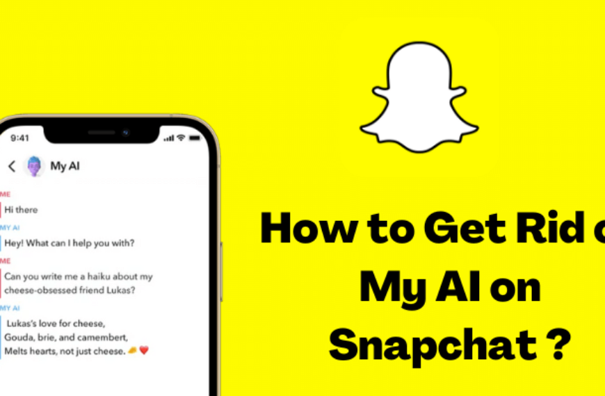 How To Get rid&hellip;