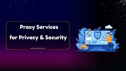 Proxy Services for Privacy & Security