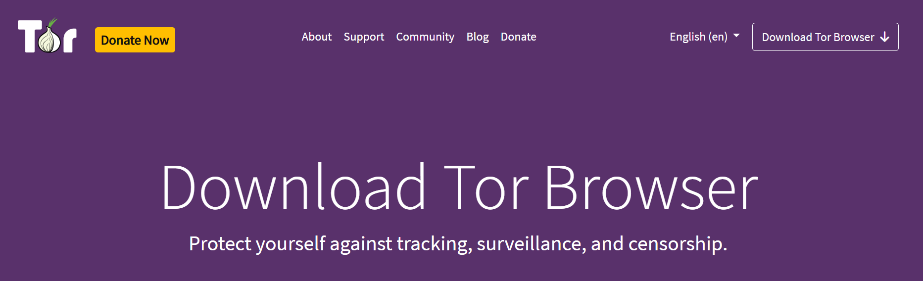 Best VPN for Dark Web Privacy & Secure Browsing in [year]