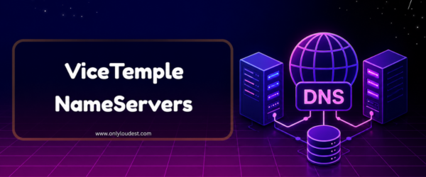 ViceTemple Nameservers