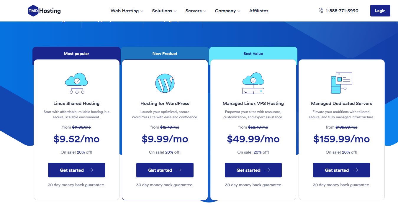 TMD Hosting Nameservers Point Your Domain in Easy Steps